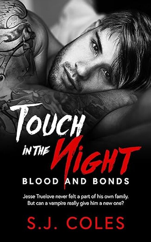 Touch in the Night by S.J. Coles