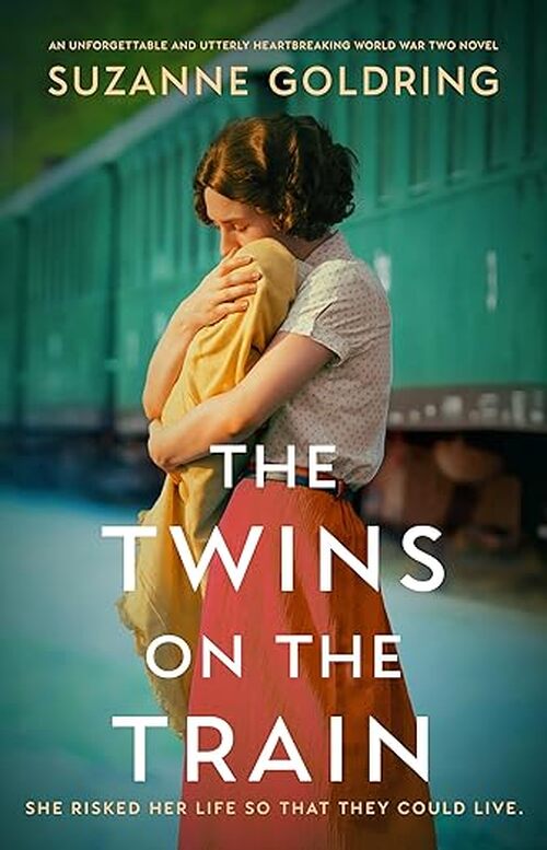 The Twins on the Train by Suzanne Goldring