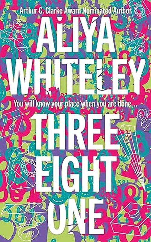 Three Eight One by Aliya Whiteley