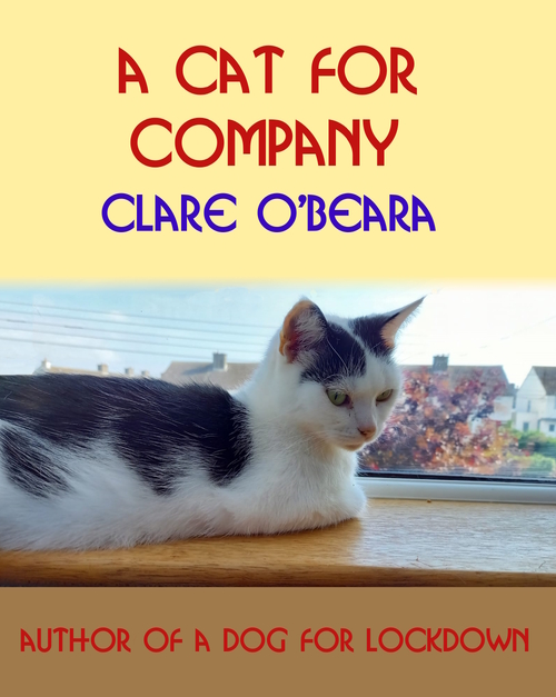 A Cat For Company by Clare O'Beara