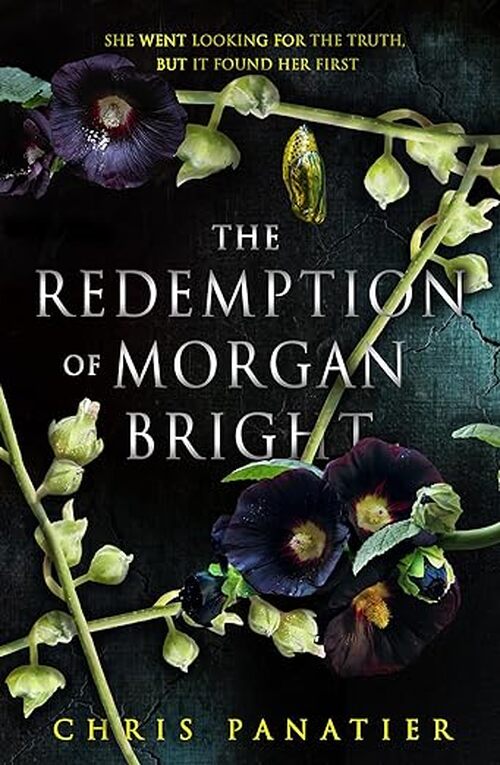 The Redemption of Morgan Bright by Chris Panatier