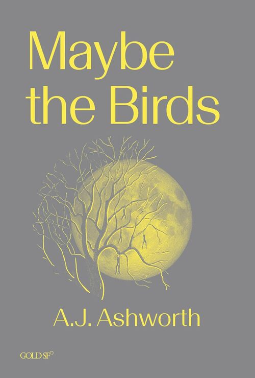 Maybe the Birds by A. J. Ashworth