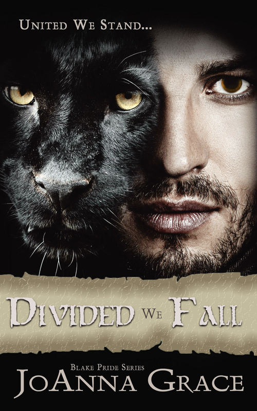 Divided We Fall by JoAnna Grace