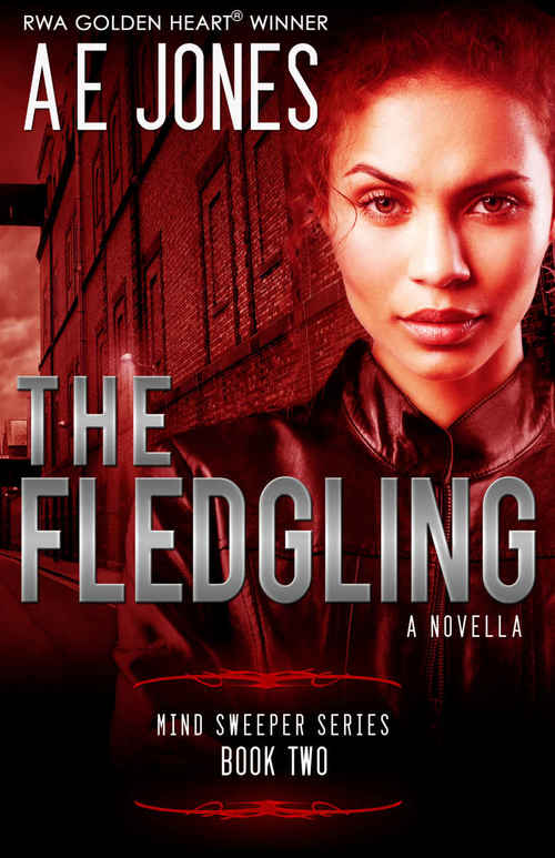 The Fledgling by A.E. Jones