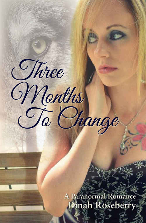 Three Months to Change by Dinah Roseberry