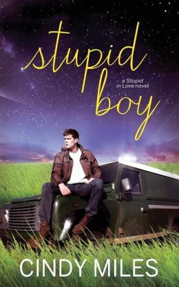 Stupid Boy by Cindy Miles