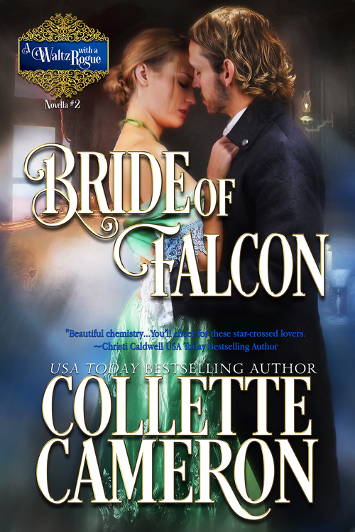 Excerpt of Bride of Falcon by Collette Cameron