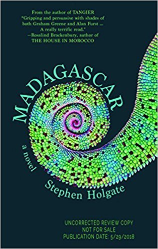 Madagascar by Stephen Holgate