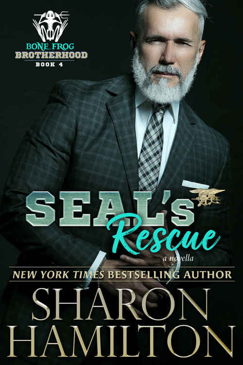 SEAL's Rescue by Sharon Hamilton
