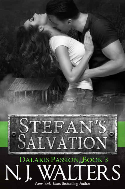 Stefan?s Salvation by N.J. Walters
