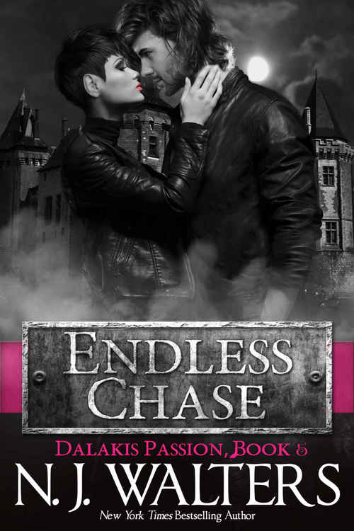 Endless Chase by N.J. Walters
