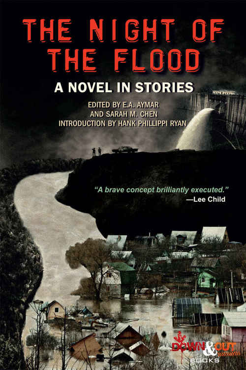 Night Of The Flood by Elizabeth Heiter