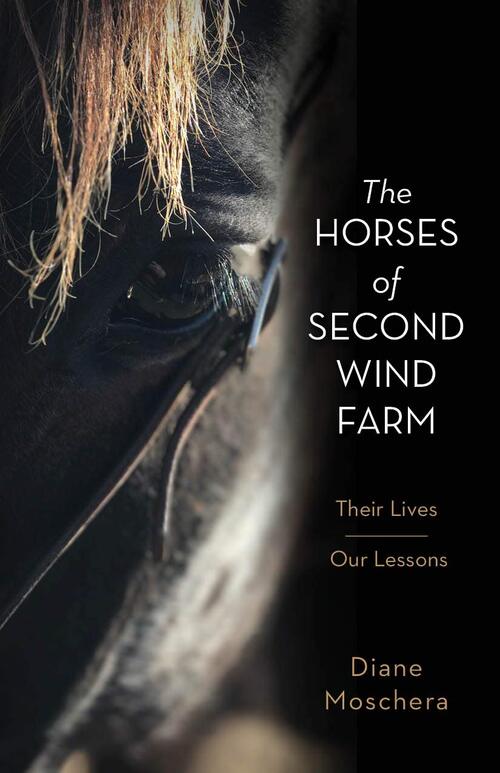 The Horses Of Second Wind Farm by Diane Moschera