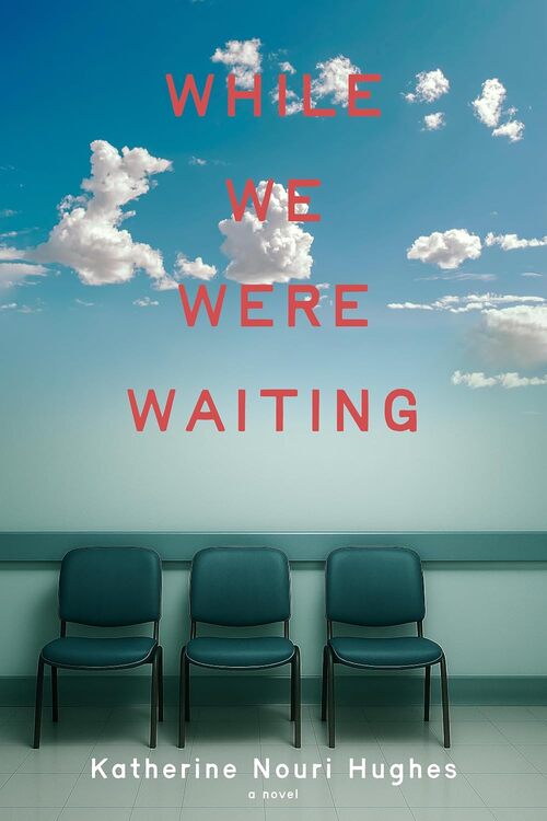 While We Were Waiting by Katherine Nouri Hughes