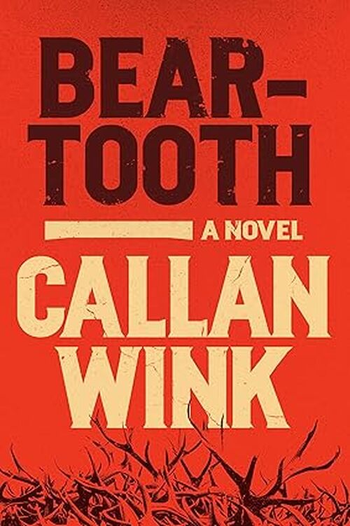 Beartooth by Callan Wink