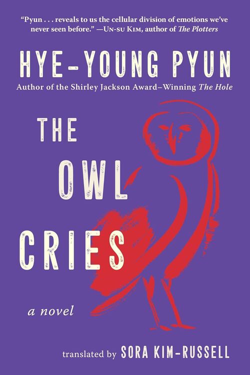 The Owl Cries by Hye-young Pyun