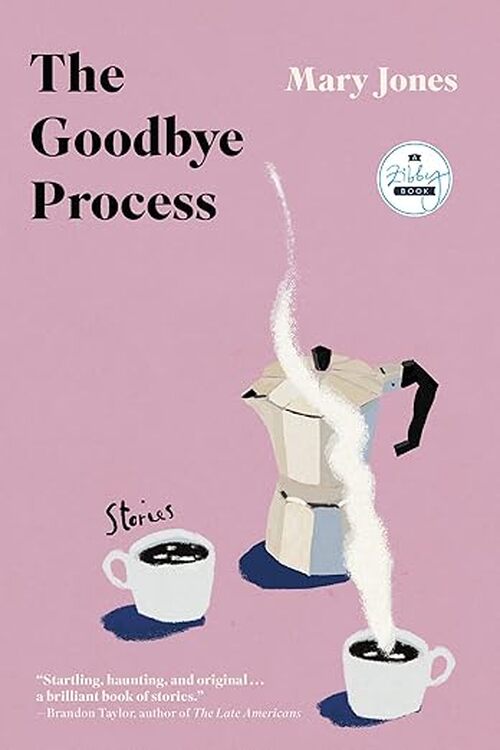 The Goodbye Process by Mary Jones