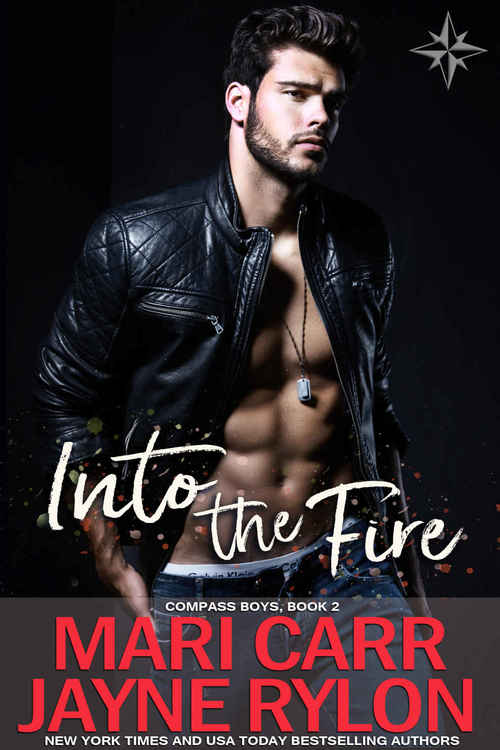 Into the Fire by Jayne Rylon