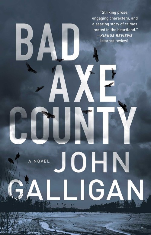 Bad Axe County by John Galligan