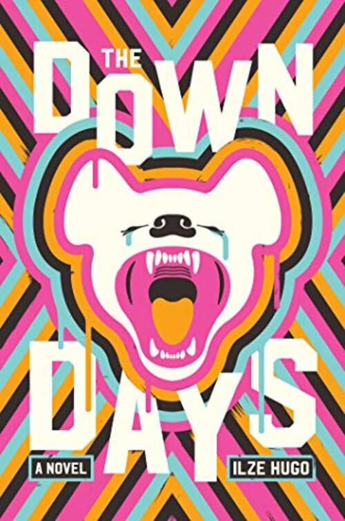The Down Days by Ilze Hugo