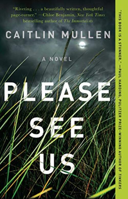 Please See Us by Caitlin Mullen