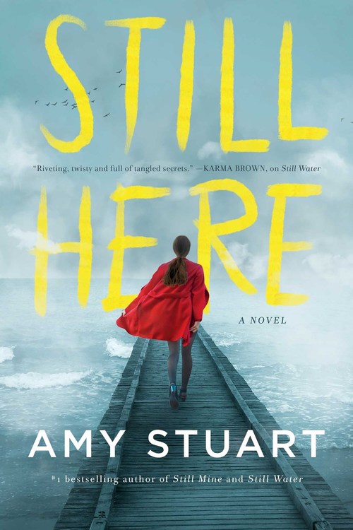 Still Here by Amy Stuart