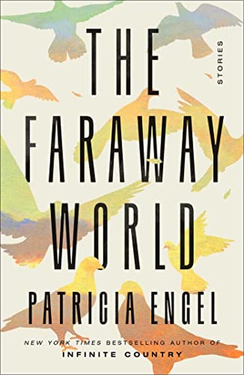 The Faraway World by Patricia Engel
