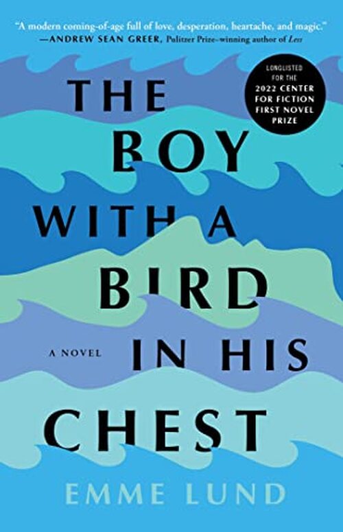 The Boy with a Bird in His Chest by Emme Lund