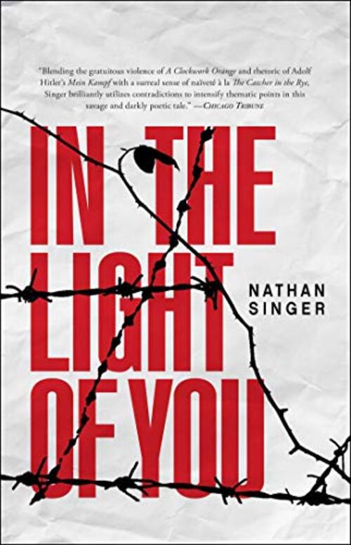 In the Light of You by Nathan Singer