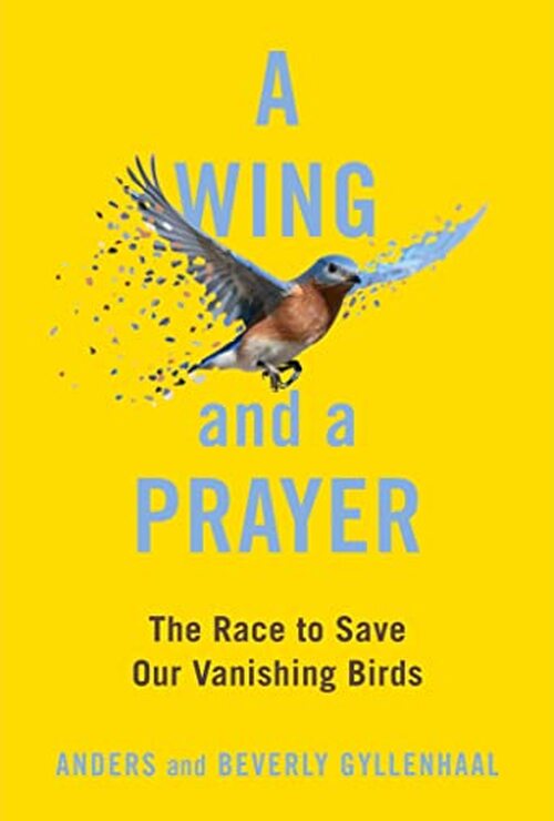 A Wing and a Prayer by Anders Gyllenhaal