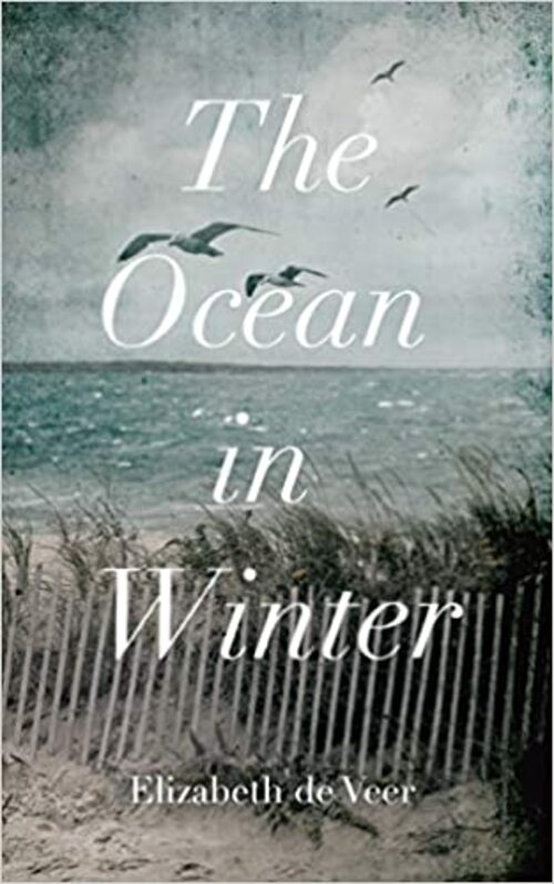 The Ocean in Winter by Elizabeth de Veer