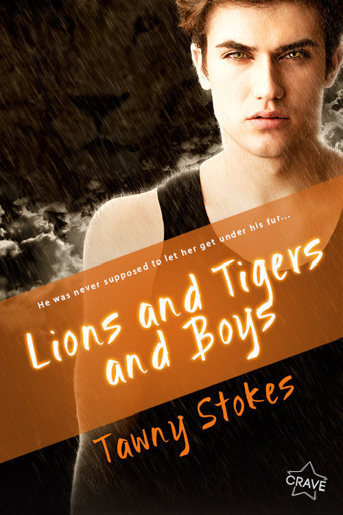 LIONS AND TIGERS AND BOYS