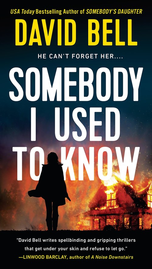 Somebody I Used to Know by David Bell