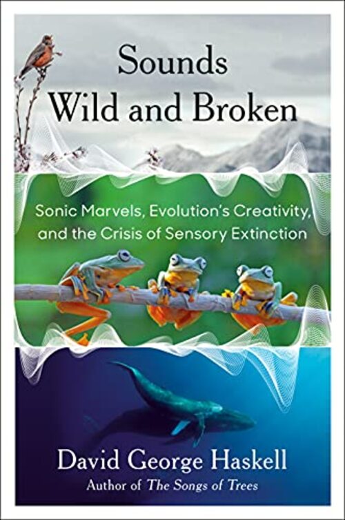 Sounds Wild and Broken by David George Haskell