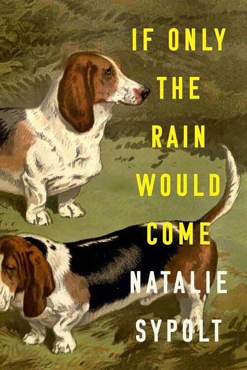 If Only the Rain Would Come by Natalie Sypolt