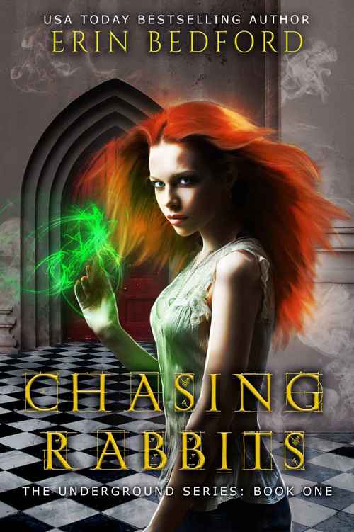 Chasing Rabbits by Erin Bedford