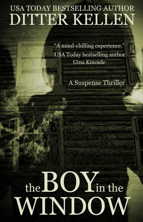 The Boy in the Window by Ditter Kellen