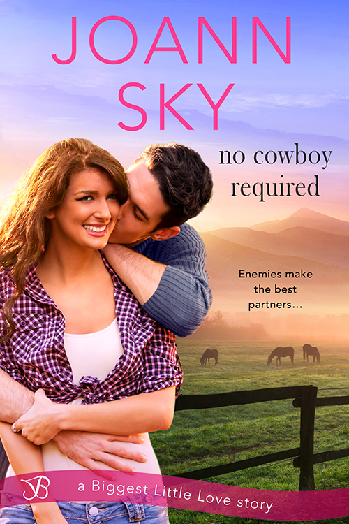 No Cowboy Required by JoAnn Sky
