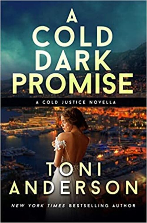 A Cold Dark Promise by Toni Anderson