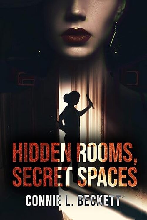 Hidden Rooms, Secret Spaces by Connie L. Beckett