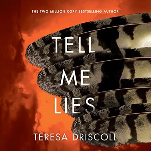 Tell Me Lies by Elizabeth Knowelden