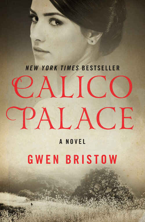 Calico Palace by Gwen Bristow