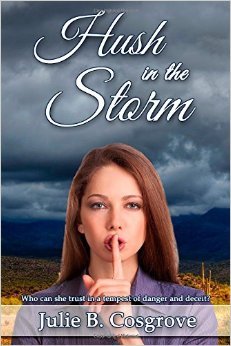 Hush in the Storm by Julie B. Cosgrove