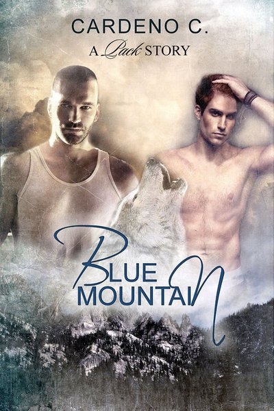 Blue Mountain by Cardeno C.
