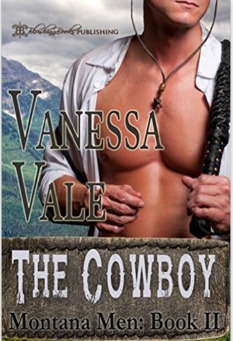 The Cowboy by Vanessa Vale