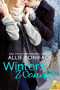 Winter's Wonder by Allie Boniface
