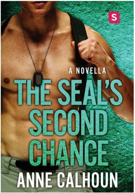 THE SEAL'S SECOND CHANCE