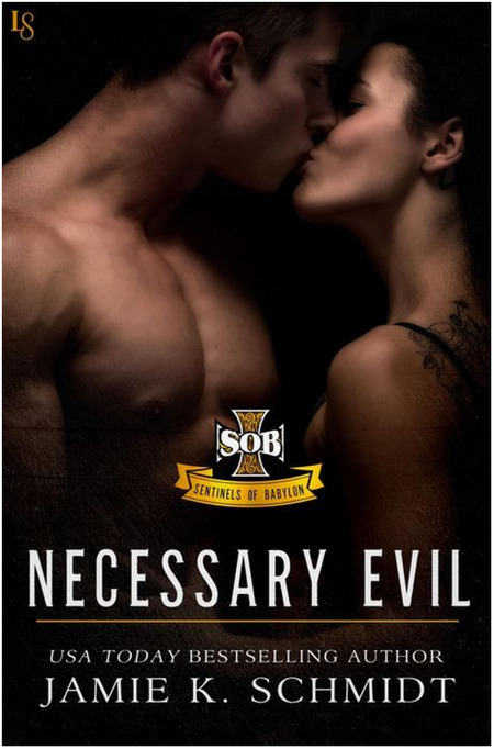 Necessary Evil by Jamie K. Schmidt