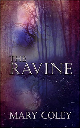 The Ravine by Mary Coley