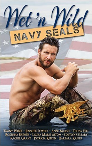 Wet 'n Wild Navy SEALs by Teresa Hill